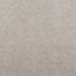 Concrete Platinum