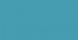Your Color