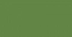 Your Color