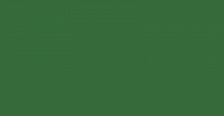 Your Color