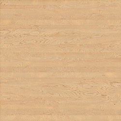 w-013 birch peeled